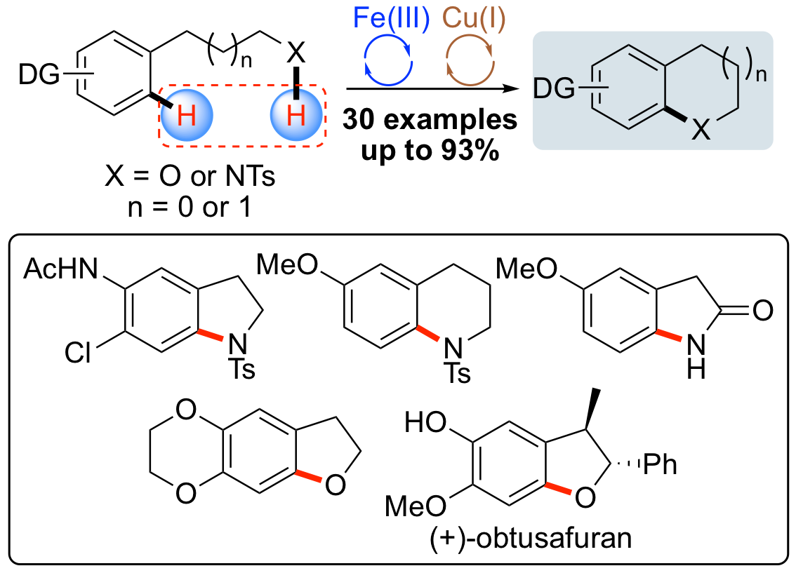 C-N Heterocyclisation