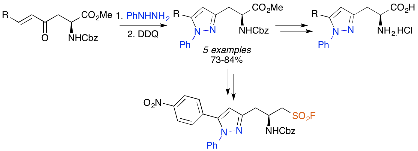 Pyrazoles Amino
            Acid