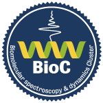 The Biomolecular spectroscopy & dynamics Cluster (BioC)