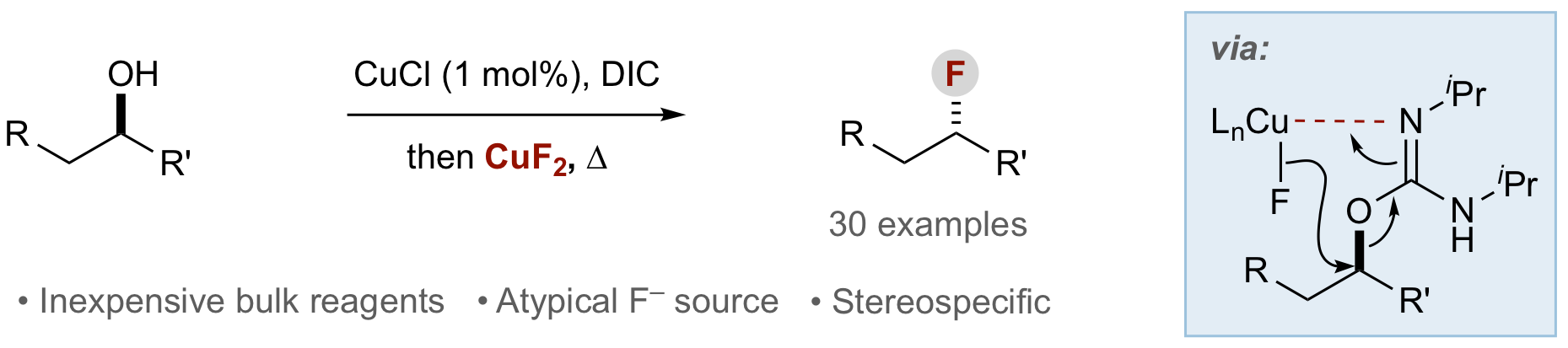 ACIE Fluoro