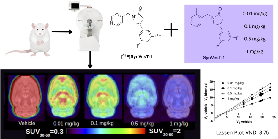 SynVesT-1 EJNMMI GA