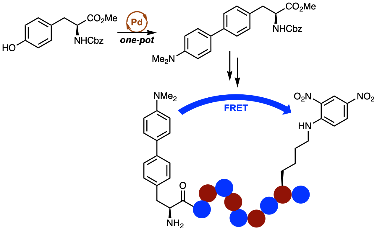 FRET(CS) GA