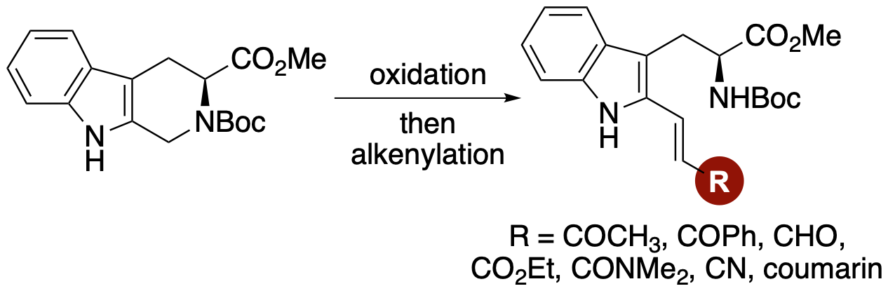 TrypCoum GA