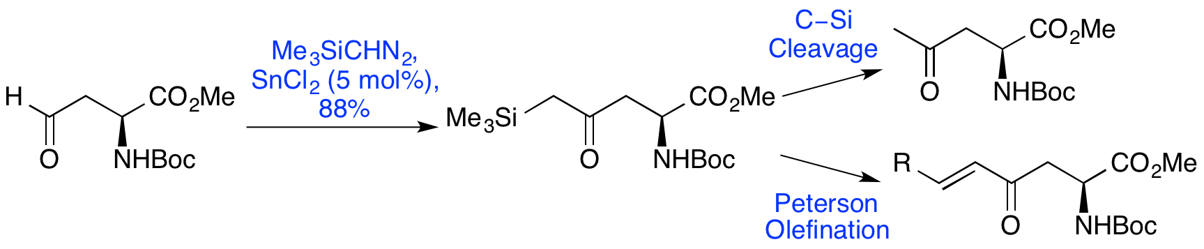 Silicon Amino Acids