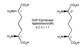 JACS(Epim)