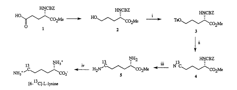 JLCR(Lys)