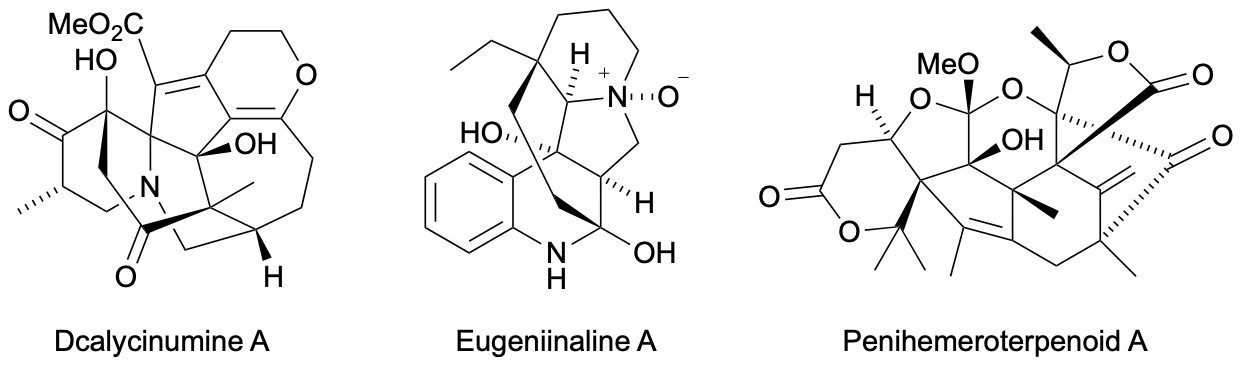 NPR2024