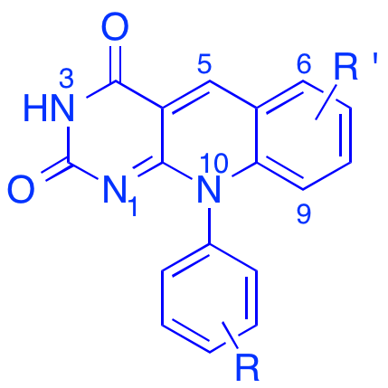 P53