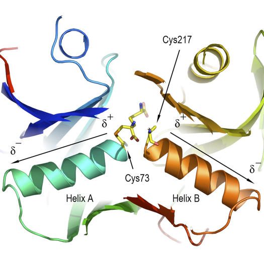 PNAS