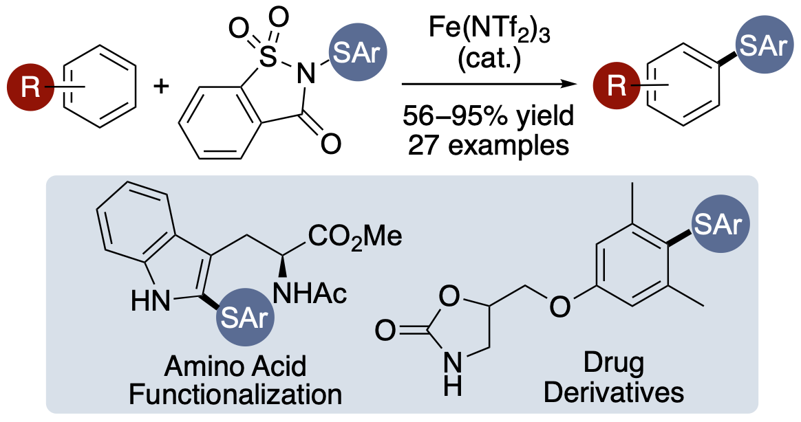 Saccharin
        GA