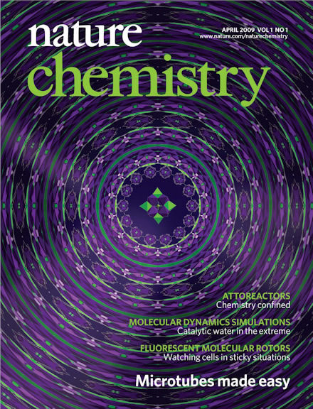 Natchem_2009