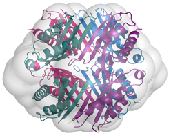 Surface created by PyMol