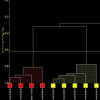 Dendrogram Display