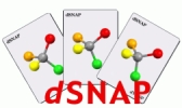 dSNAP logo