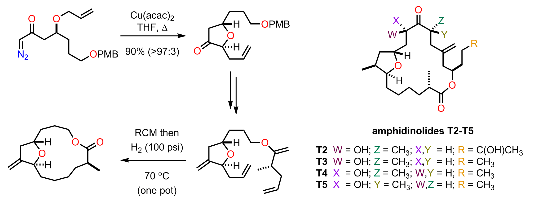 orgbiomolchem2009