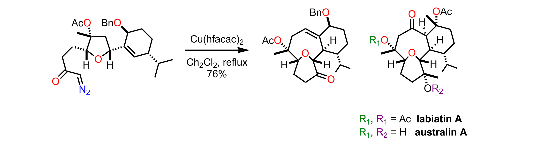 orglett2011