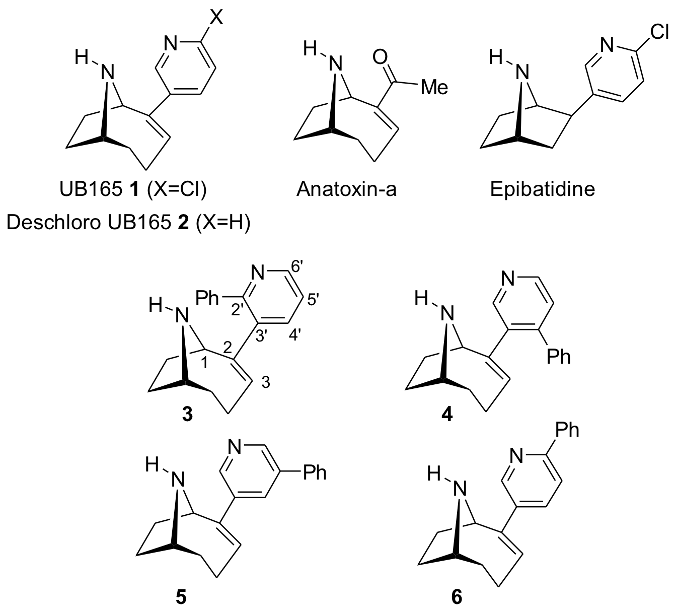BMCL(UB165)