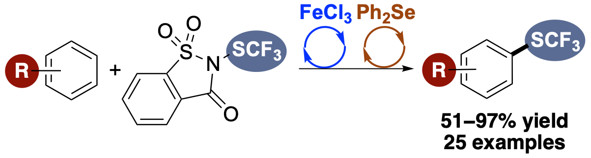 CF3S JOC