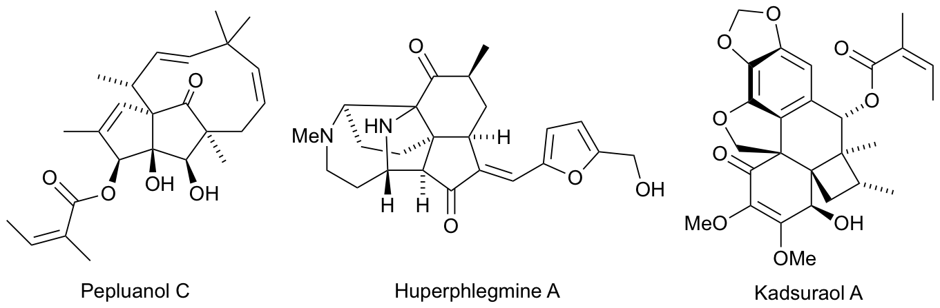 HOTP 2018