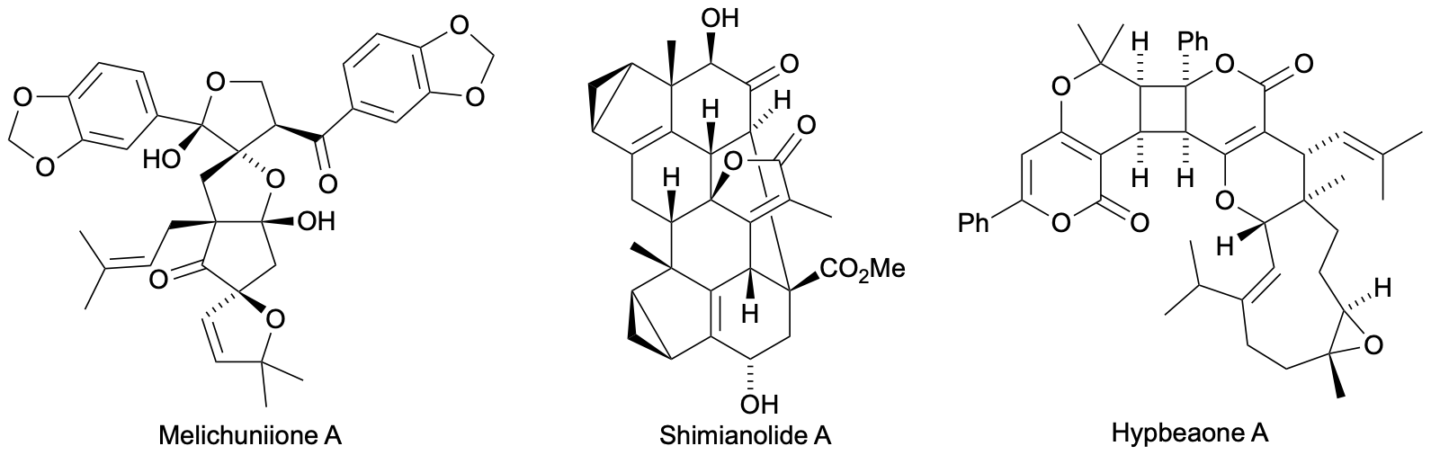 NPR 2025