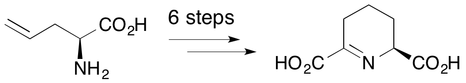 Perkin(THDP2)